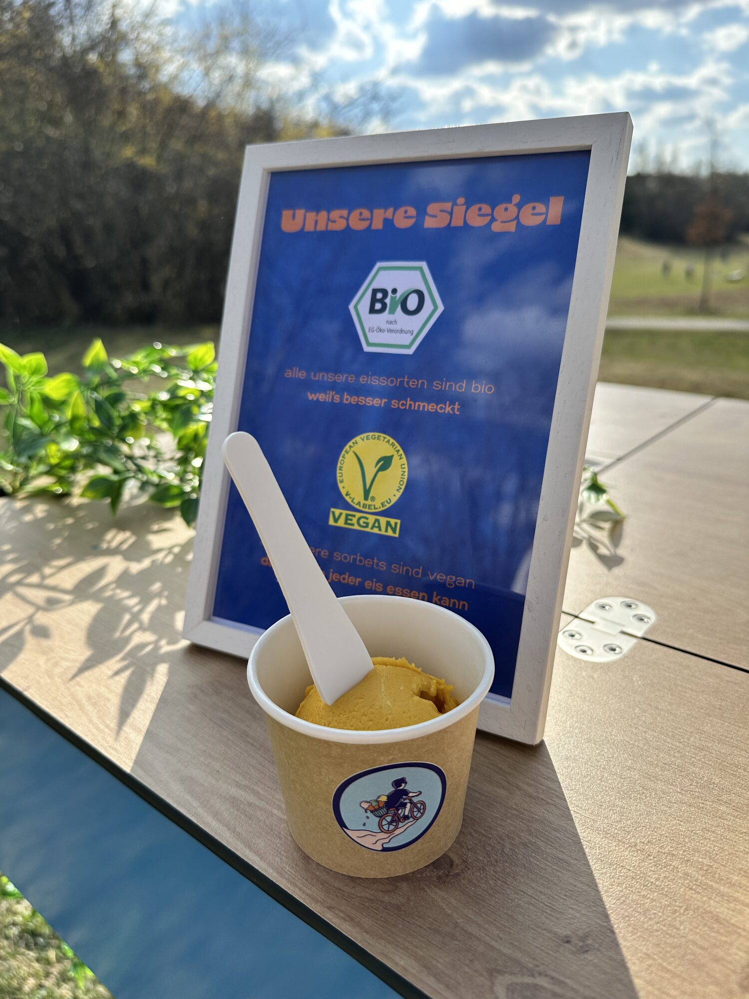 Bio-Mango-Sorbet vom Eiszeitmobil im Becher